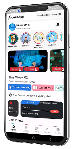 Mobile app interface